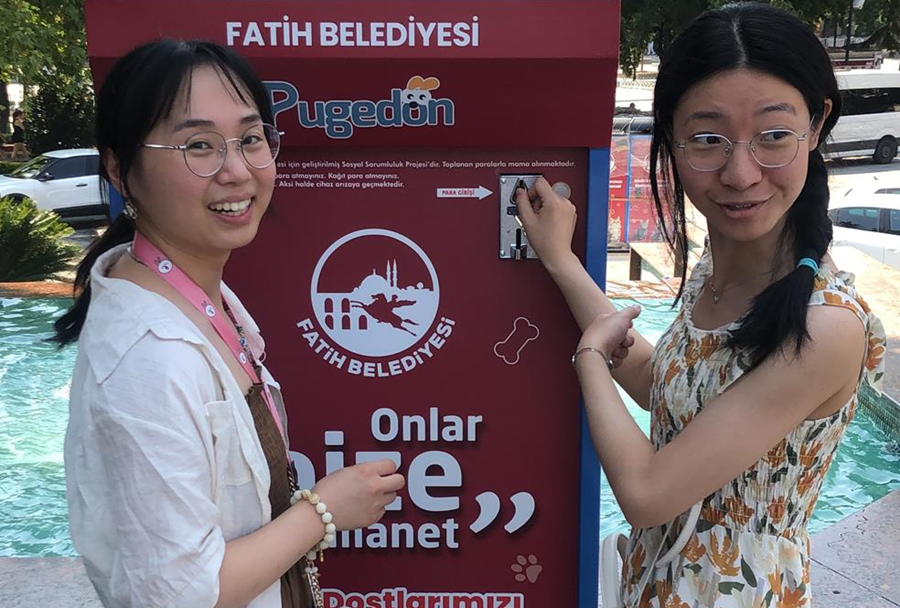 FATİH’TE VATANDAŞLAR 1 TL KARŞILIĞINDA SOKAK HAYVANLARINI BESLİYOR
