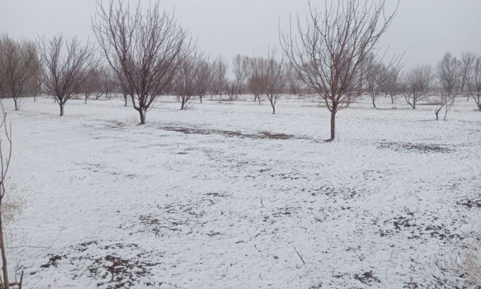 IĞDIR’DA YAĞAN KAR ÇİFTÇİLERİ MUTLU ETTİ