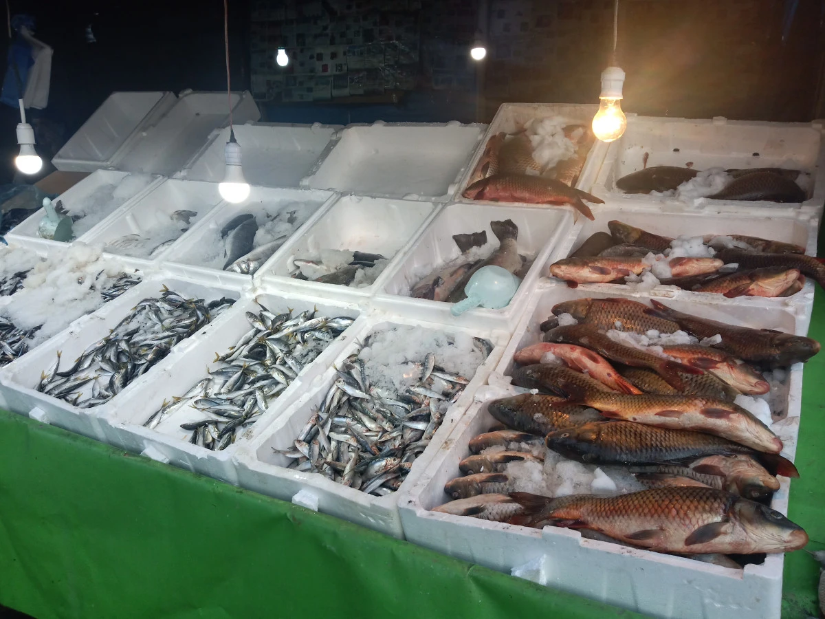 KIŞ AYLARINDA BALIK TEZG&Acirc;HLARINDA BEREKET 